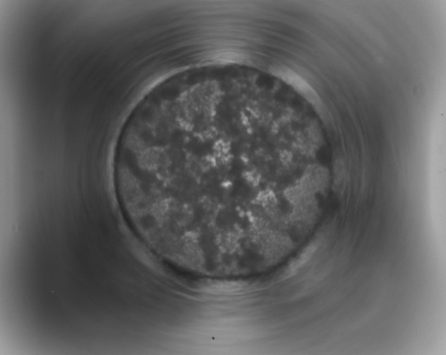 X0000089761039200707051829