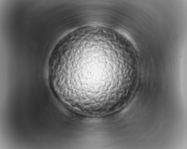 X0000089761040200707051829