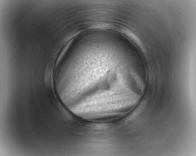 X0000089761041200707051829