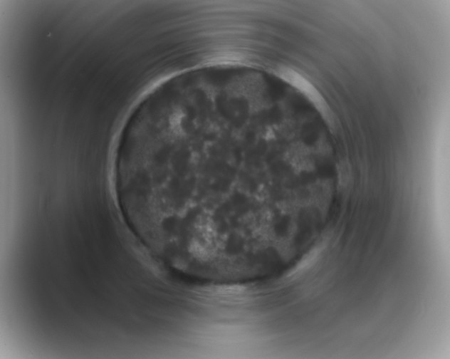 X0000089761043200707051829