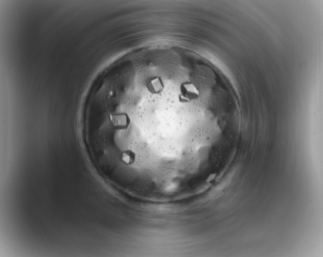 X0000089761045200707051830