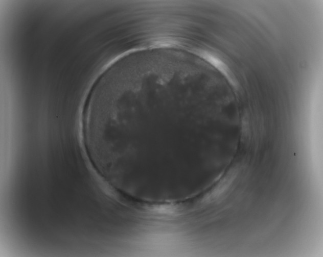 X0000089761047200707051830