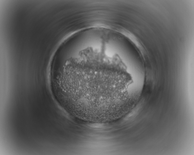 X0000089761048200707051830