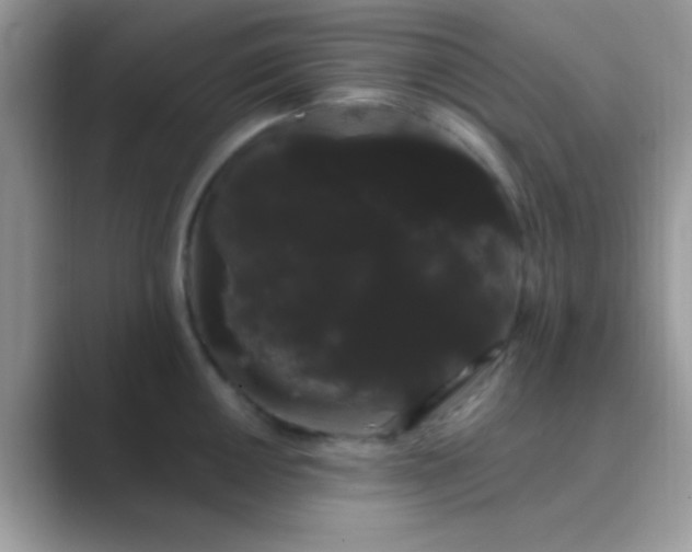 X0000089761050200707051830