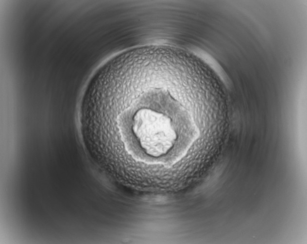 X0000089761051200707051830