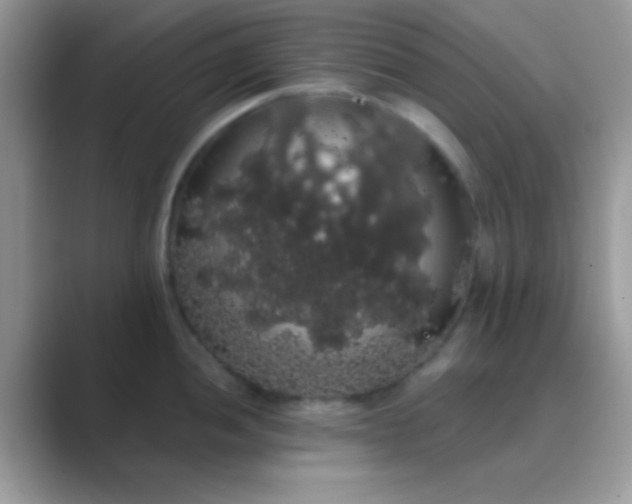 X0000089761052200707051830