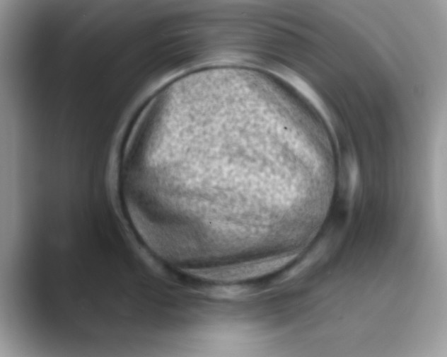 X0000089761053200707051830