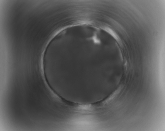 X0000089761055200707051830