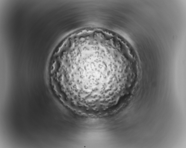 X0000089761056200707051830