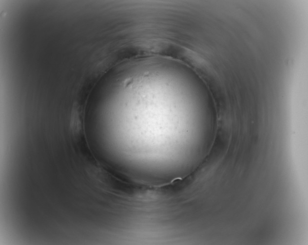 X0000089761058200707051829