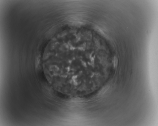 X0000089761059200707051829