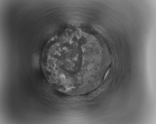 X0000089761060200707051829