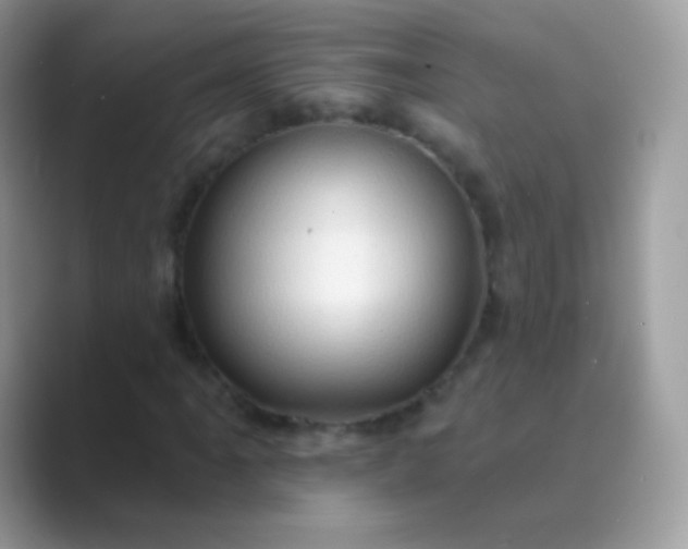 X0000089761061200707051829