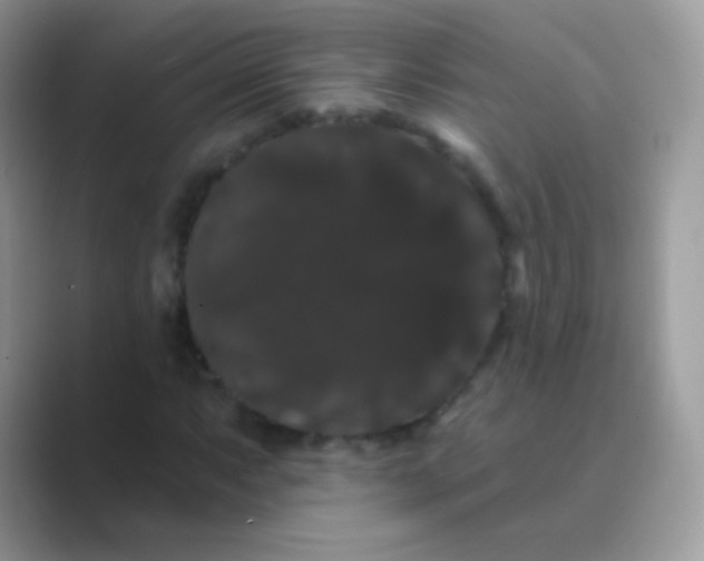 X0000089761063200707051829