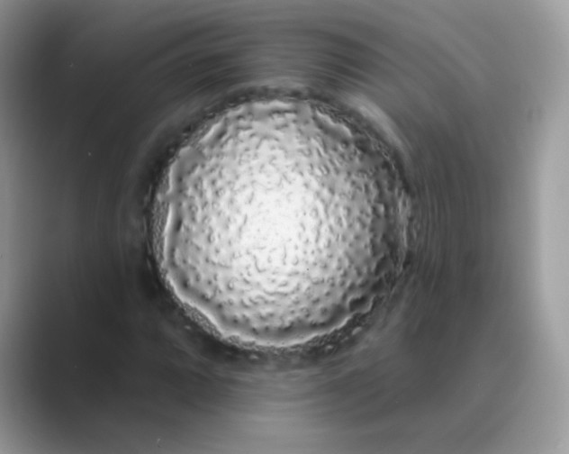 X0000089761064200707051829