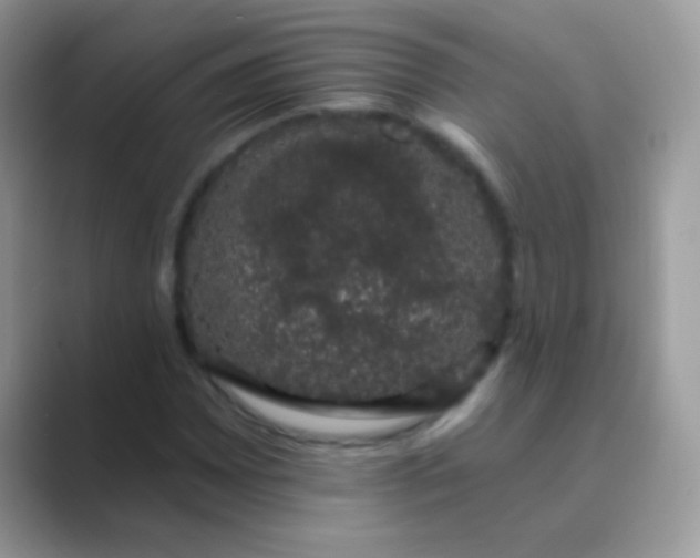 X0000089761065200707051829