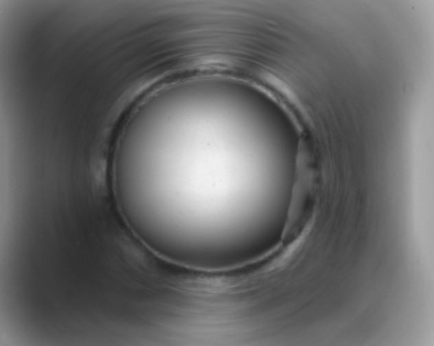 X0000089761066200707051829