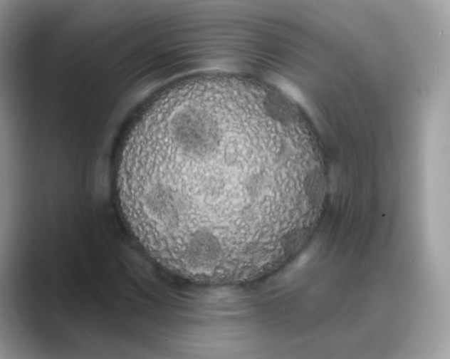 X0000089761067200707051829