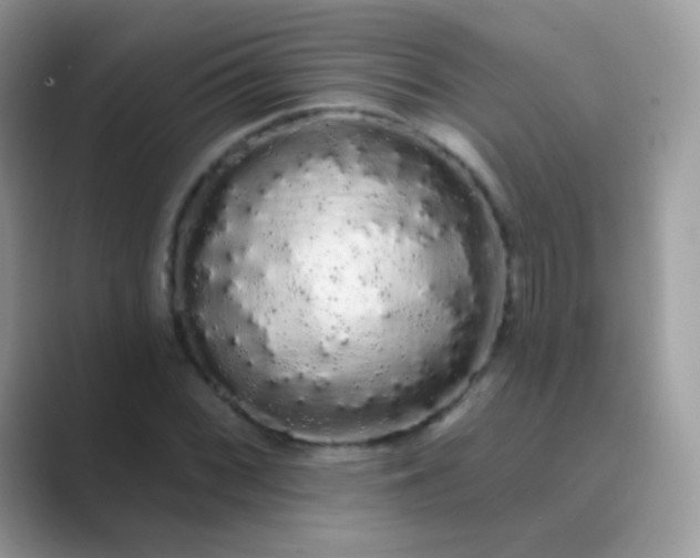 X0000089761068200707051829