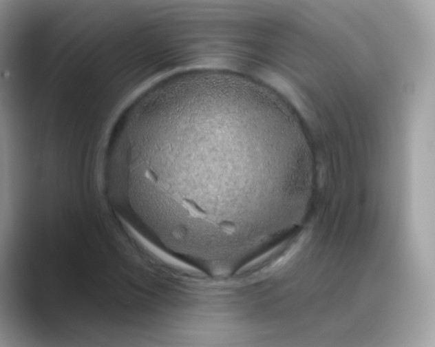 X0000089761069200707051829