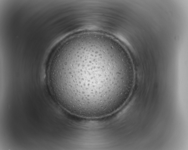 X0000089761070200707051829