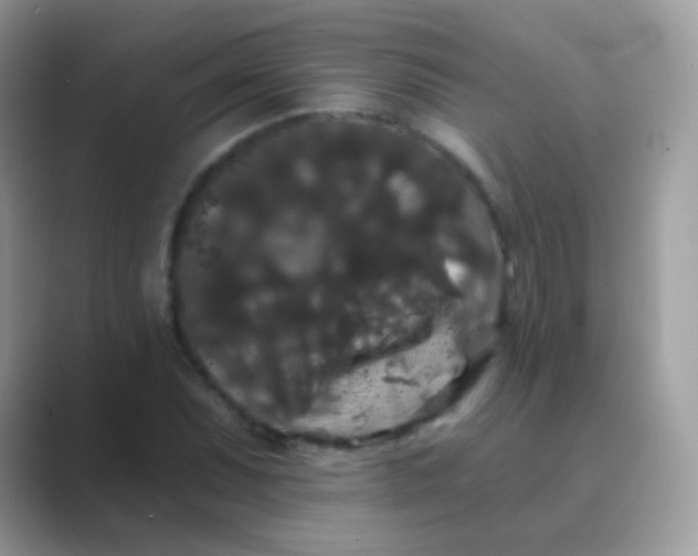 X0000089761071200707051829