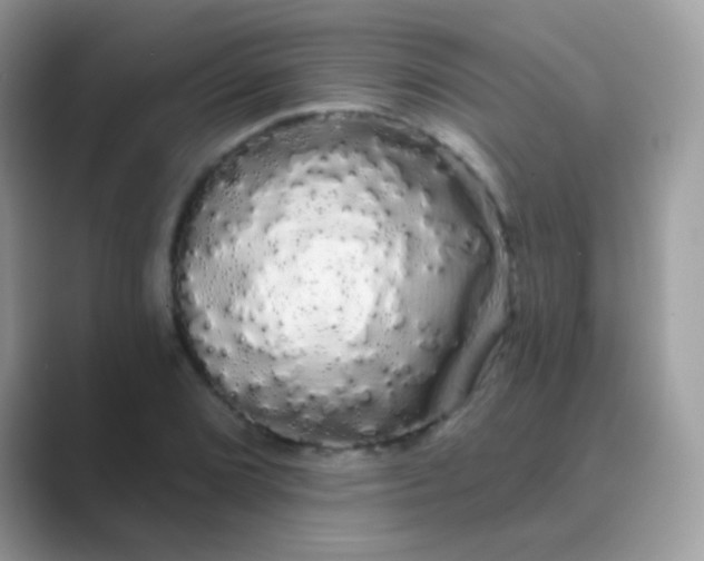 X0000089761072200707051829