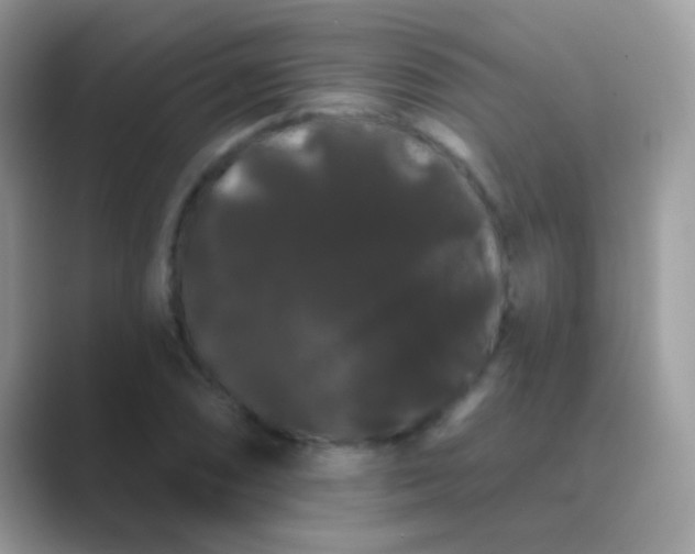 X0000089761074200707051829