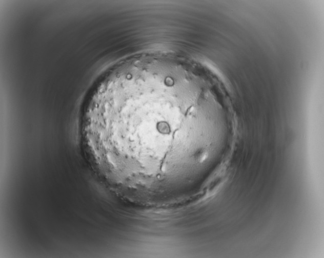 X0000089761075200707051829