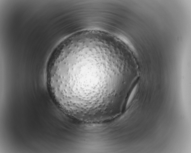 X0000089761076200707051829