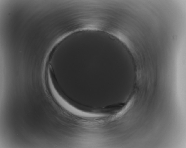 X0000089761077200707051829