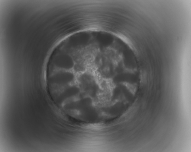 X0000089761078200707051829