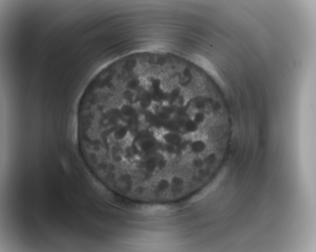 X0000089761079200707051829