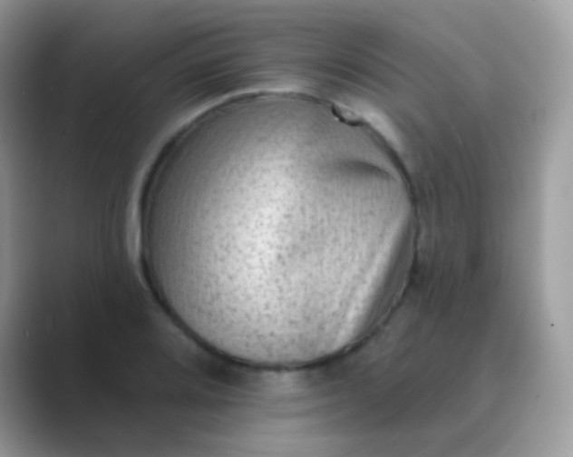 X0000089761080200707051829