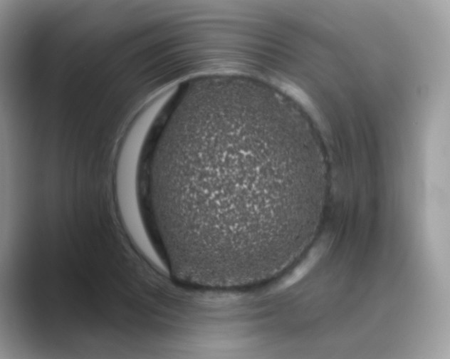 X0000089761081200707051829