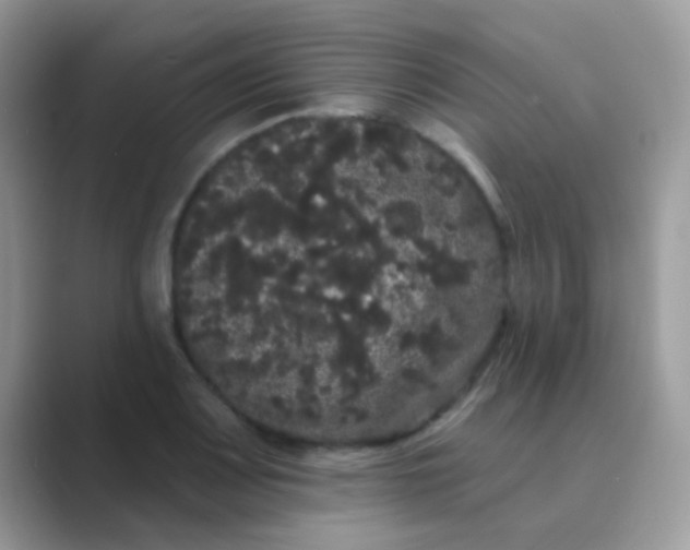 X0000089761083200707051829