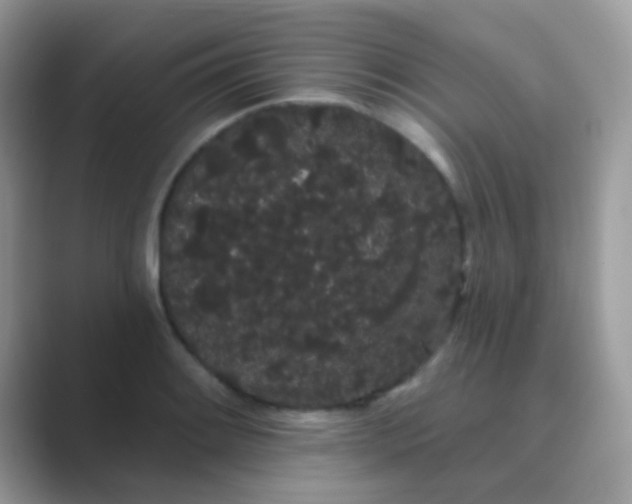 X0000089761084200707051829