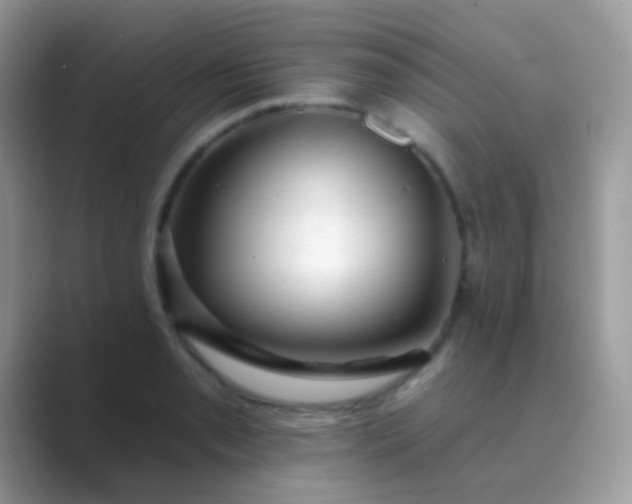 X0000089761085200707051829