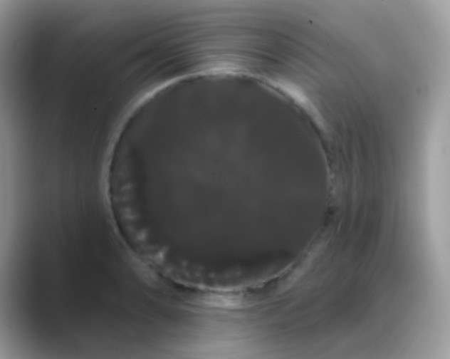 X0000089761086200707051829