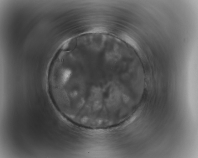 X0000089761087200707051829