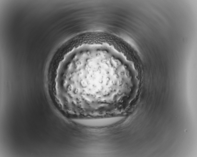 X0000089761088200707051829