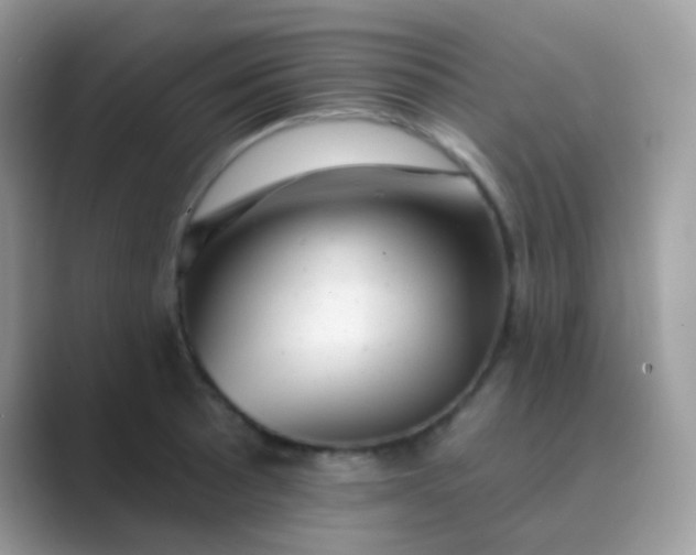 X0000089761089200707051829