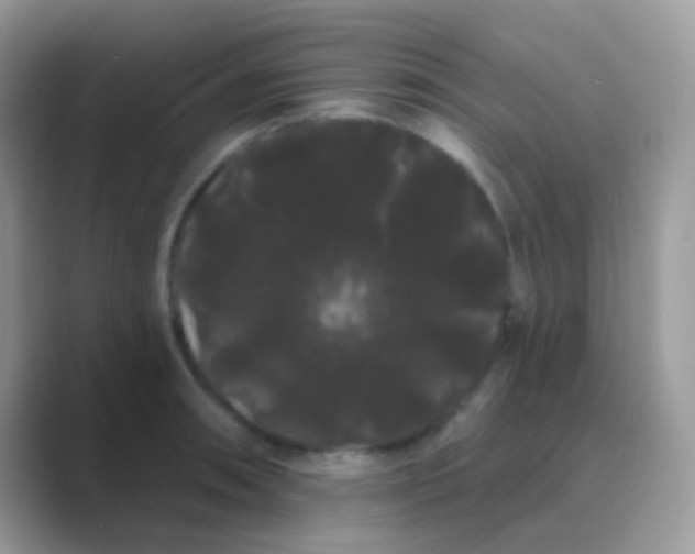 X0000089761090200707051829