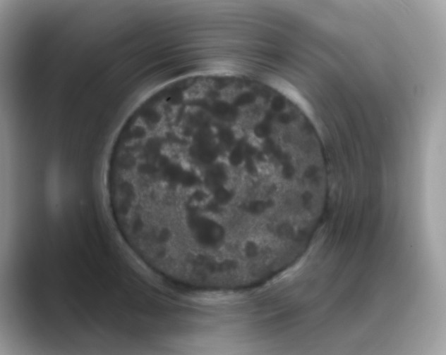 X0000089761091200707051829