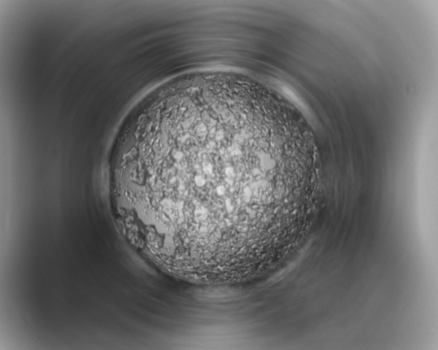 X0000089761092200707051829