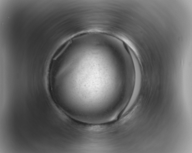 X0000089761093200707051829