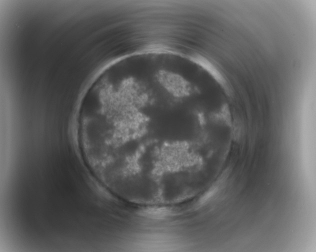 X0000089761094200707051829