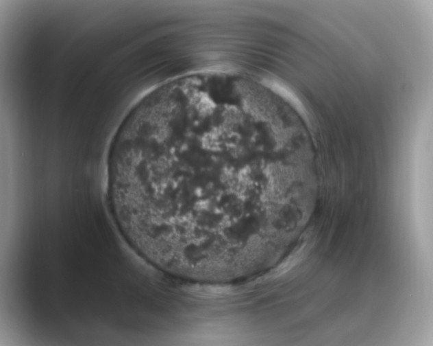 X0000089761095200707051829