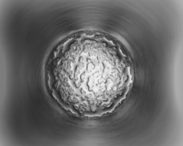 X0000089761096200707051829