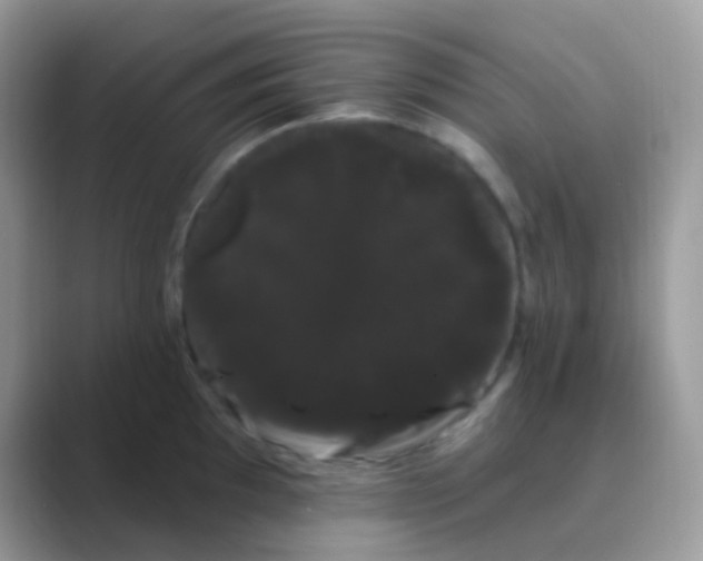 X0000089761097200707051829